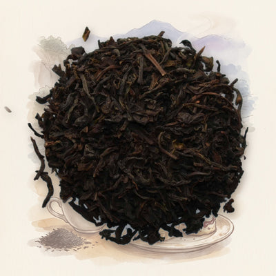 Lover's Leap Estate loose leaf tea, shown over a chalk-and-watercolour illustration