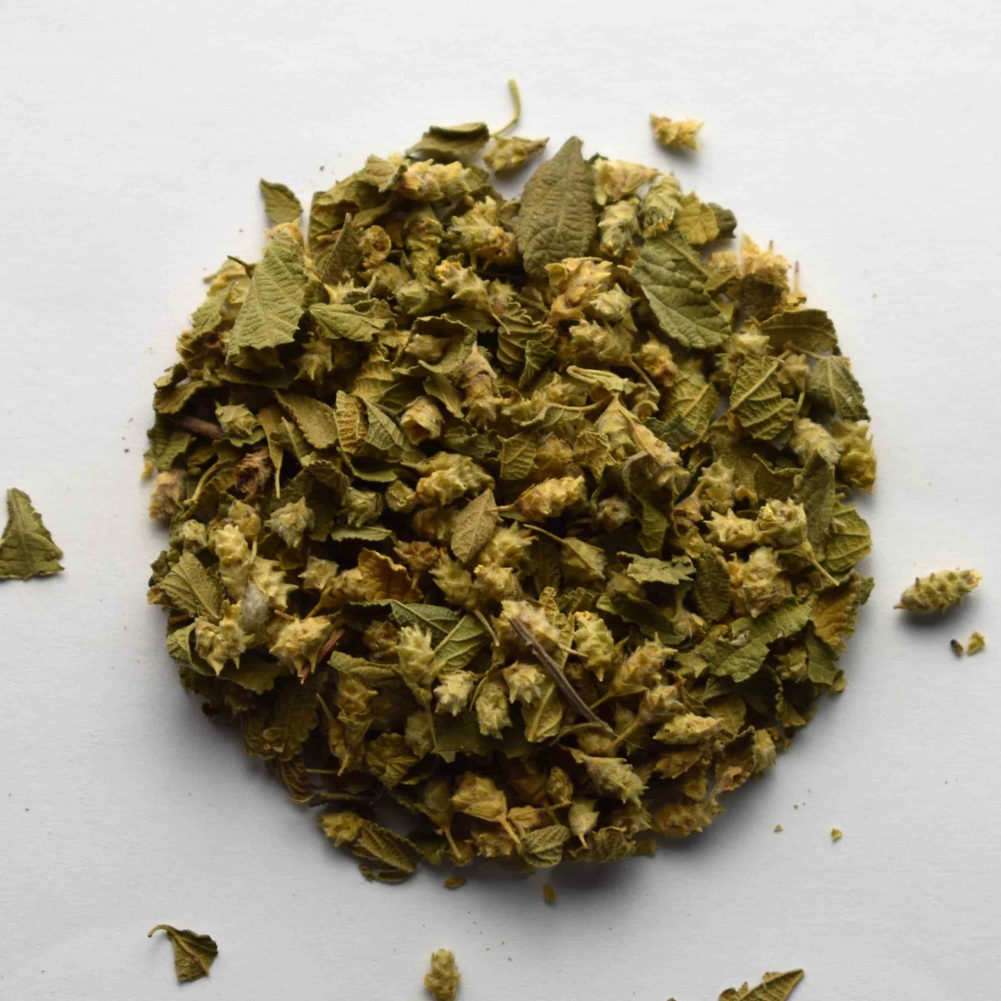 Oregano, Mexican - The Tea & Spice Shoppe