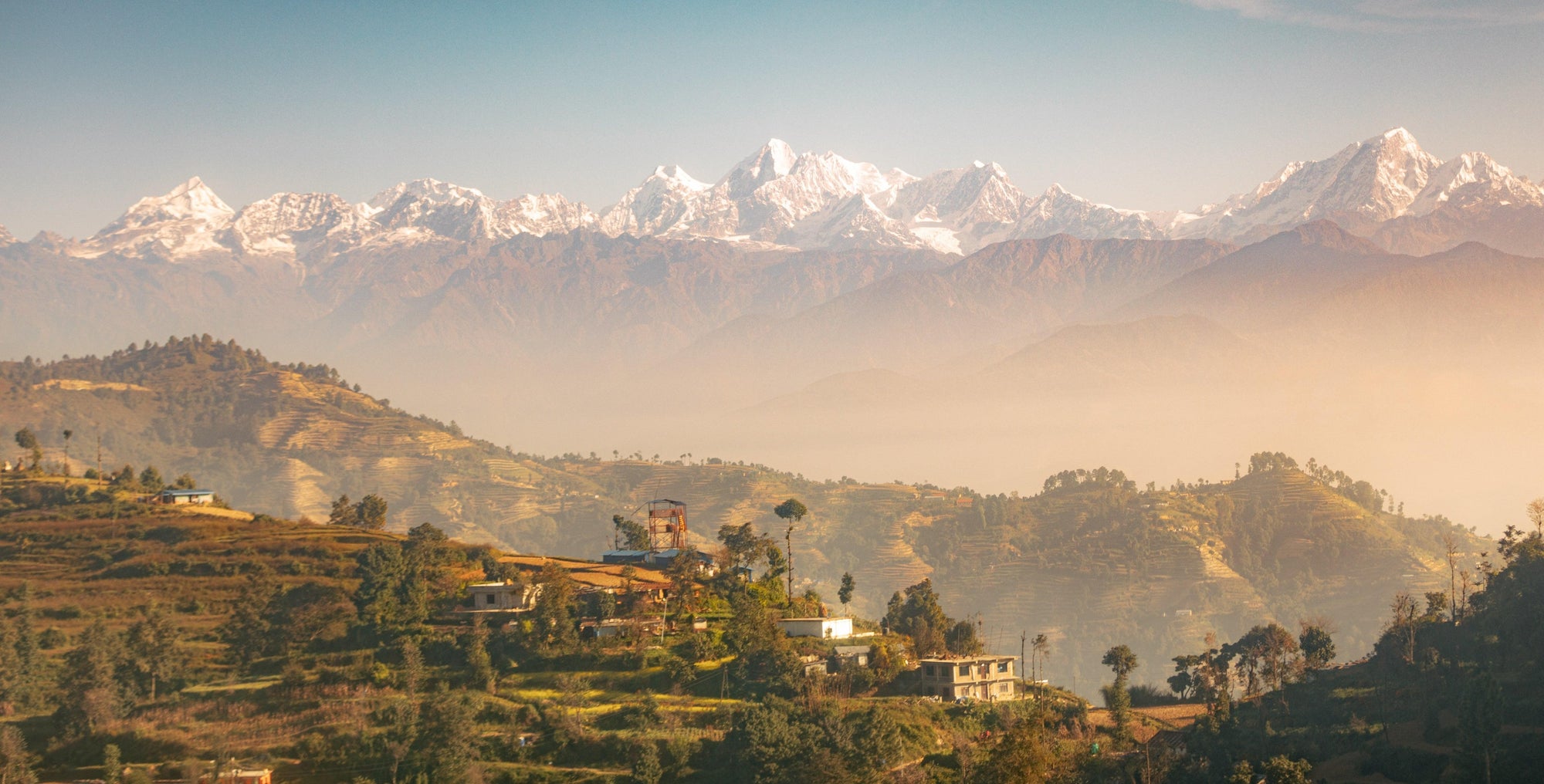 Brief Insights: Kathmandu, Second Flush - The Tea & Spice Shoppe