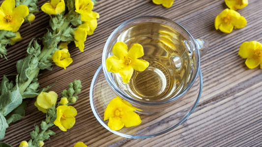 Mullein Leaf: Uses & Benefits - The Tea & Spice Shoppe