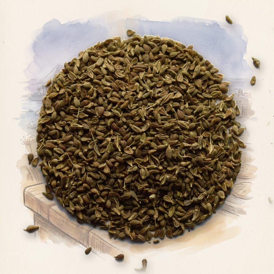 Anise Seed, Whole spice, shown over a chalk-and-watercolour illustration
