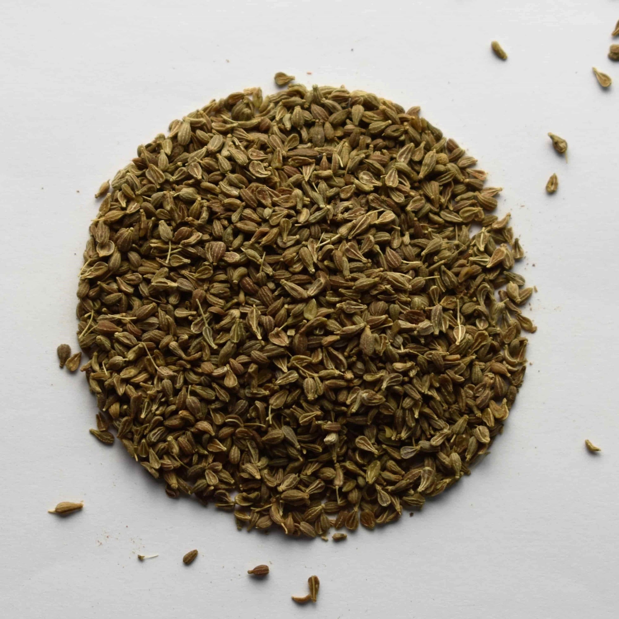 Anise Seed - The Tea & Spice Shoppe