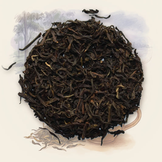 Bukhial Estate loose leaf tea, shown over a chalk-and-watercolour illustration