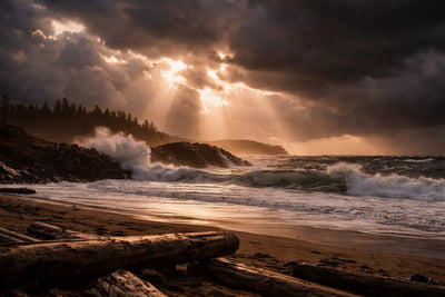 Storm Watching in Tofino