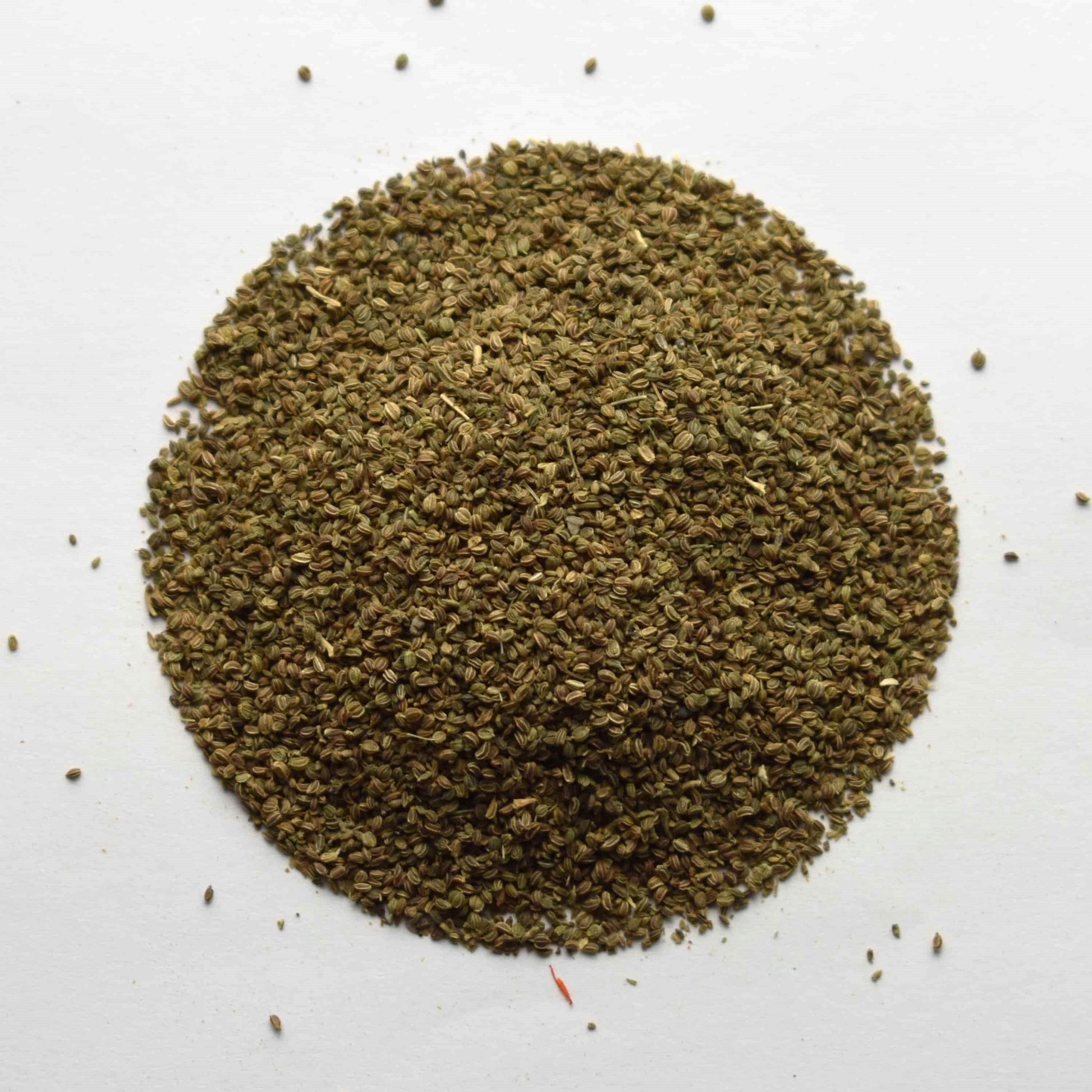 Celery Seed - The Tea & Spice Shoppe