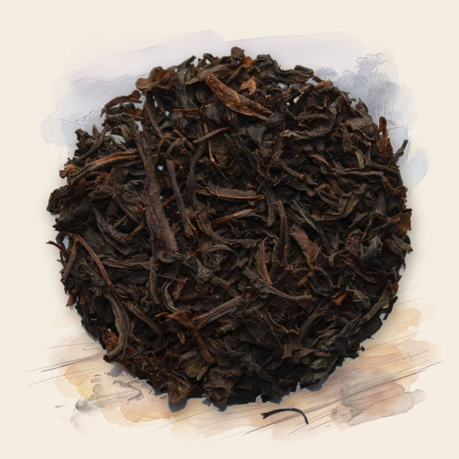 Ceylon Estate loose leaf tea, shown over a chalk-and-watercolour illustration