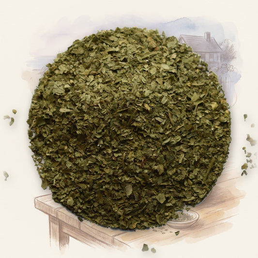 Cilantro spice, shown over a chalk-and-watercolour illustration