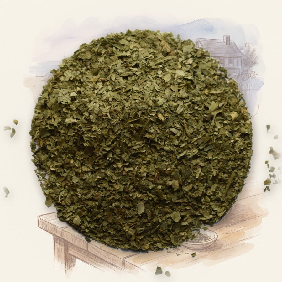 Cilantro spice, shown over a chalk-and-watercolour illustration