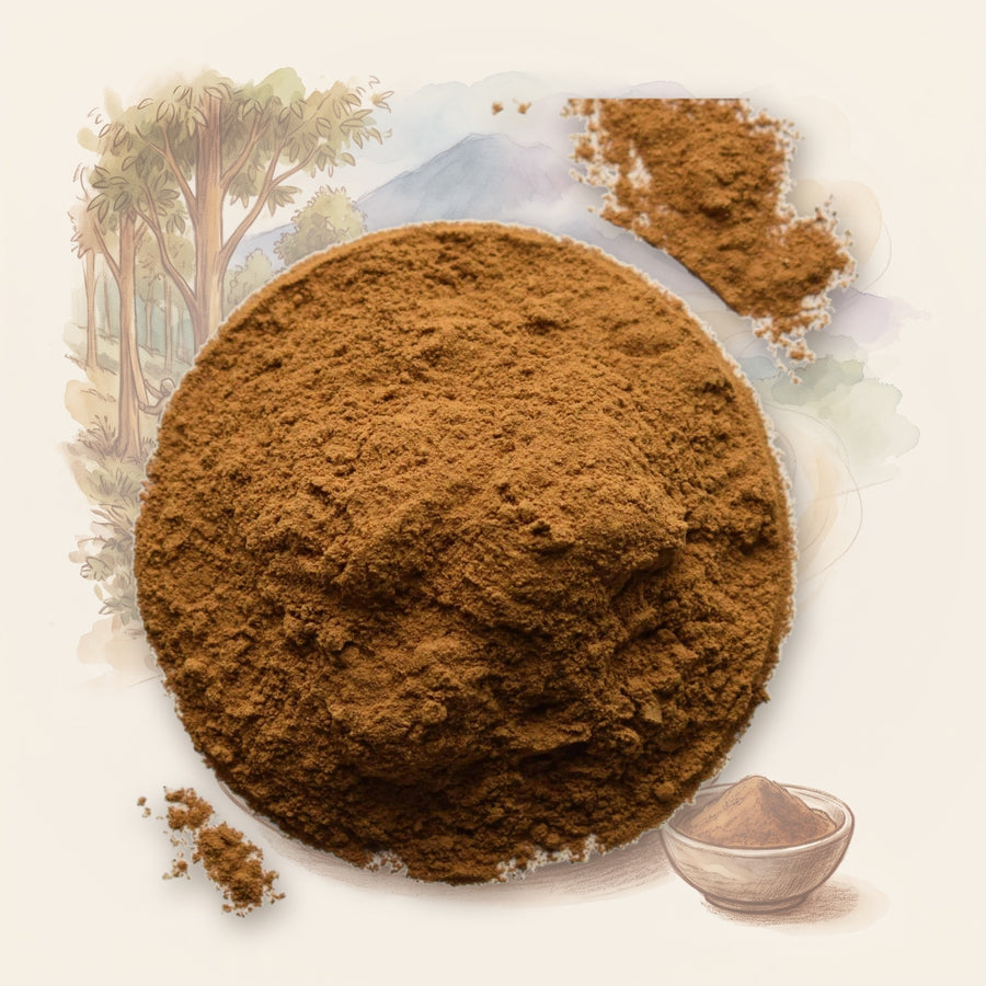 Cinnamon, Ground, Indonesian Korintje spice, shown over a chalk-and-watercolour illustration