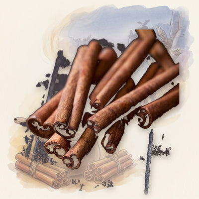 Cinnamon, Sticks, Indonesian Korintje