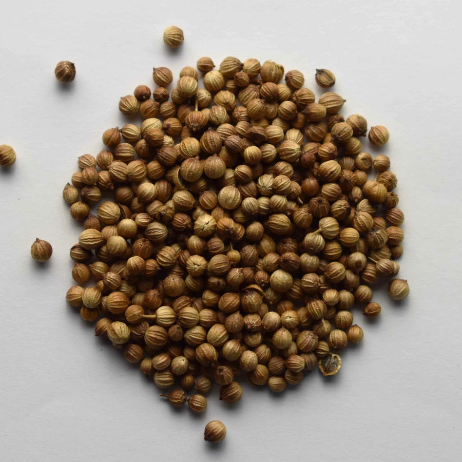 Coriander Seed - The Tea & Spice Shoppe