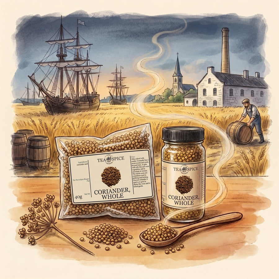 Illustration of Coriander Seed, Whole in The Tea & Spice Shoppe bag and jar, with Hoegaarden in the 1960s, a small Flemish town in the wheat country east of Brussels and Leuven