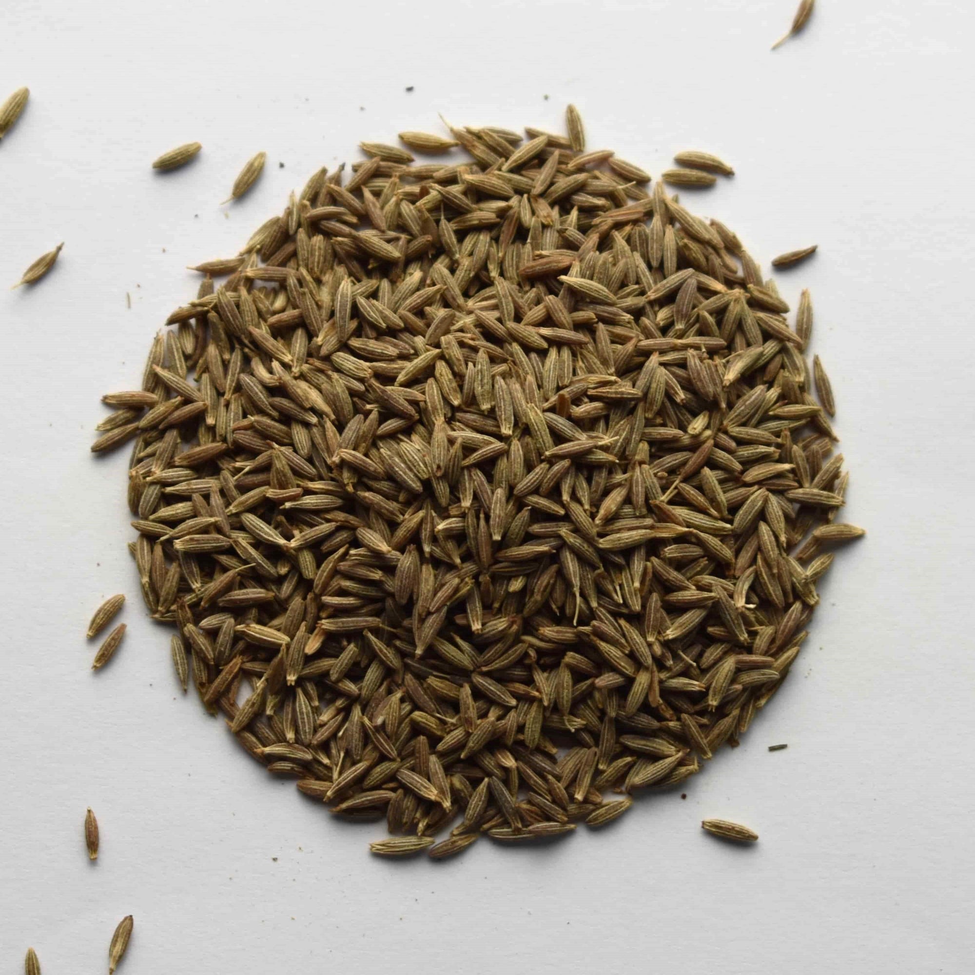 Cumin Seed - The Tea & Spice Shoppe