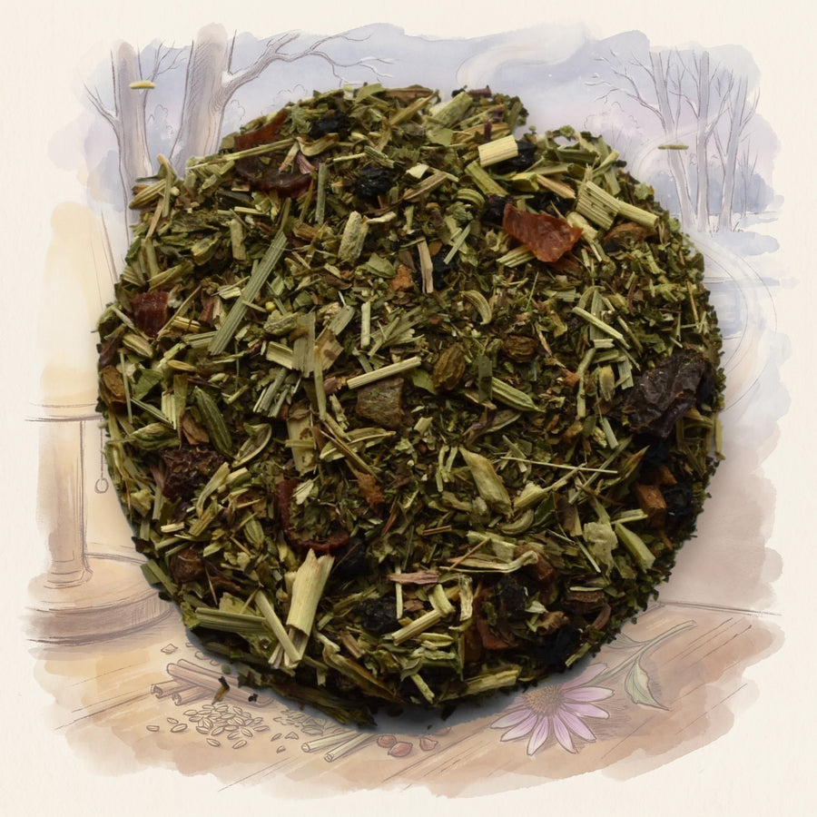 Echinacea Immune Boost loose leaf tea, shown over a chalk-and-watercolour illustration