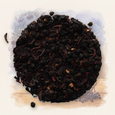 Elderberry Burst, Organic