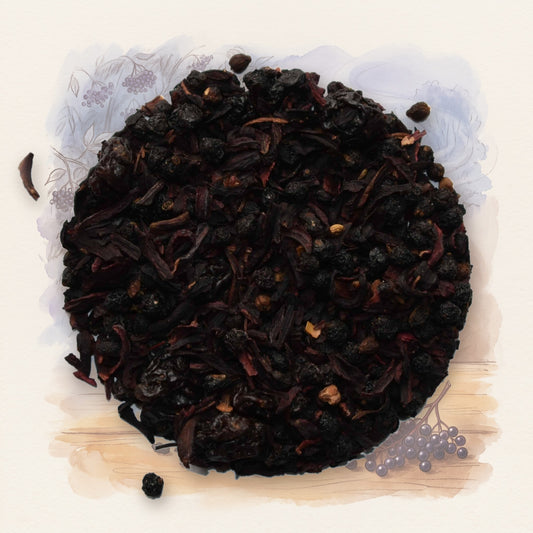 Elderberry Burst, Organic loose leaf tea, shown over a chalk-and-watercolour illustration
