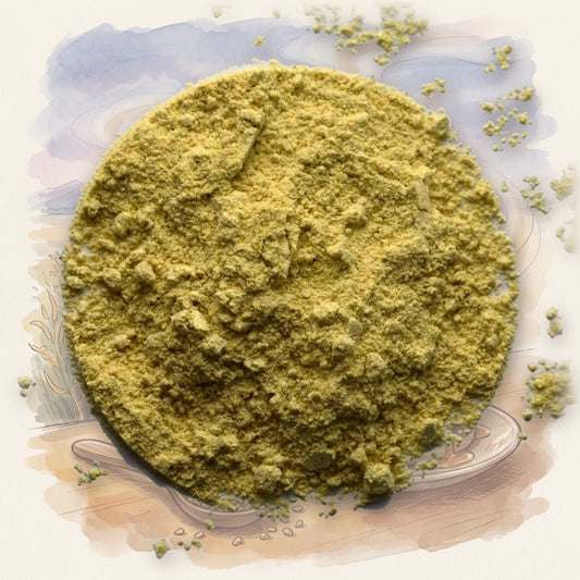 Fenugreek, Whole spice, shown over a chalk-and-watercolour illustration