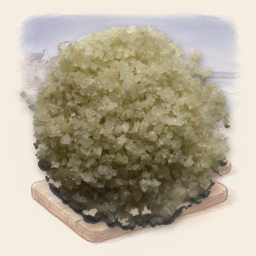 Grey Sea Salt, Fine spice, shown over a chalk-and-watercolour illustration