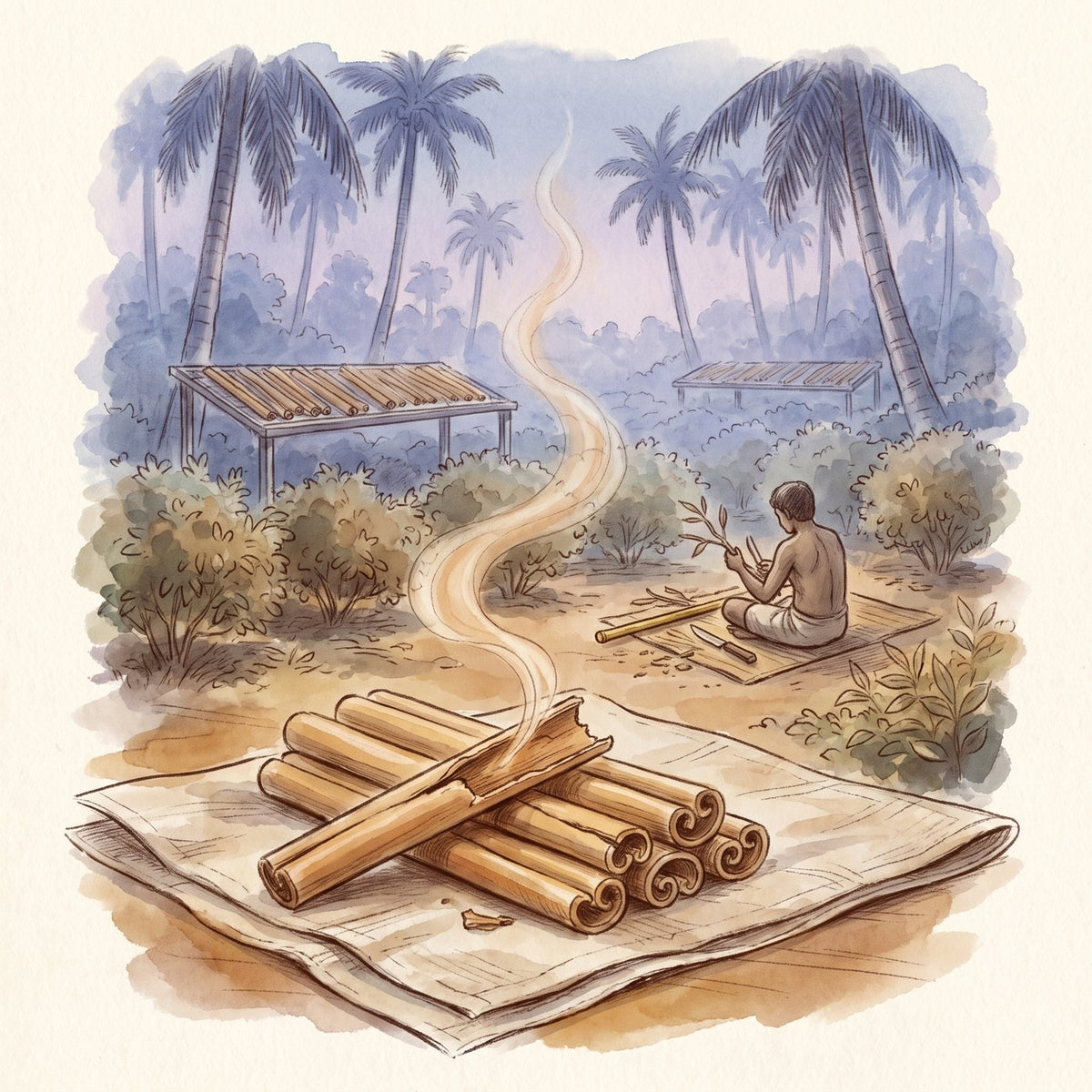 Ceylon Cinnamon