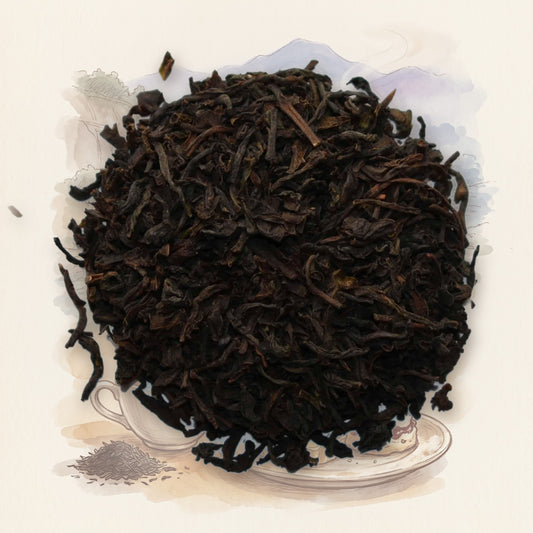 Lover's Leap Estate loose leaf tea, shown over a chalk-and-watercolour illustration