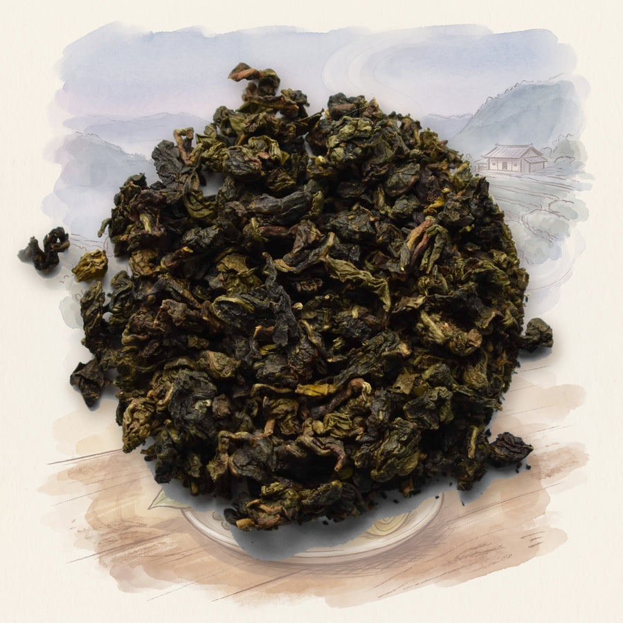 Milky Oolong, Organic loose leaf tea, shown over a chalk-and-watercolour illustration