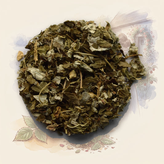 Morning Sickness, Organic loose leaf tea, shown over a chalk-and-watercolour illustration