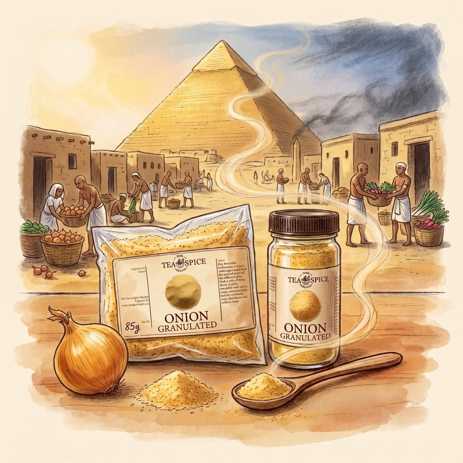 Illustration of Onion, Granulated in The Tea & Spice Shoppe bag and jar, with Giza in ancient Egypt as Herodotus was told it