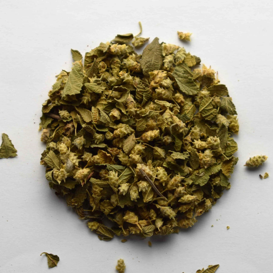Oregano, Mexican - The Tea & Spice Shoppe