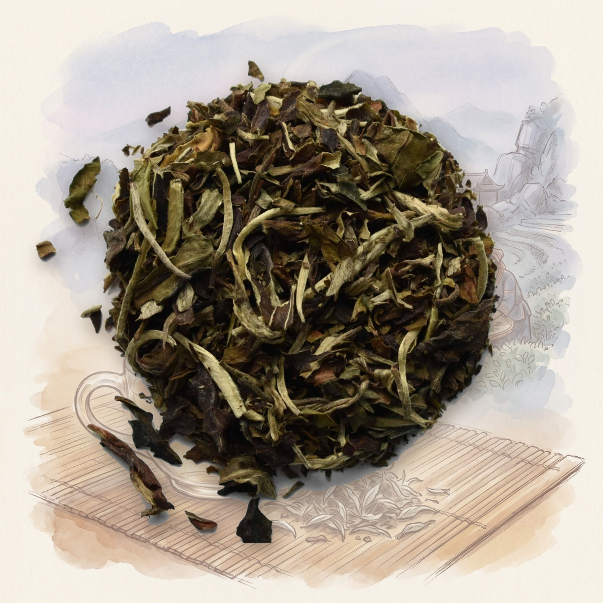 Pai Mu Tan, Organic loose leaf tea, shown over a chalk-and-watercolour illustration