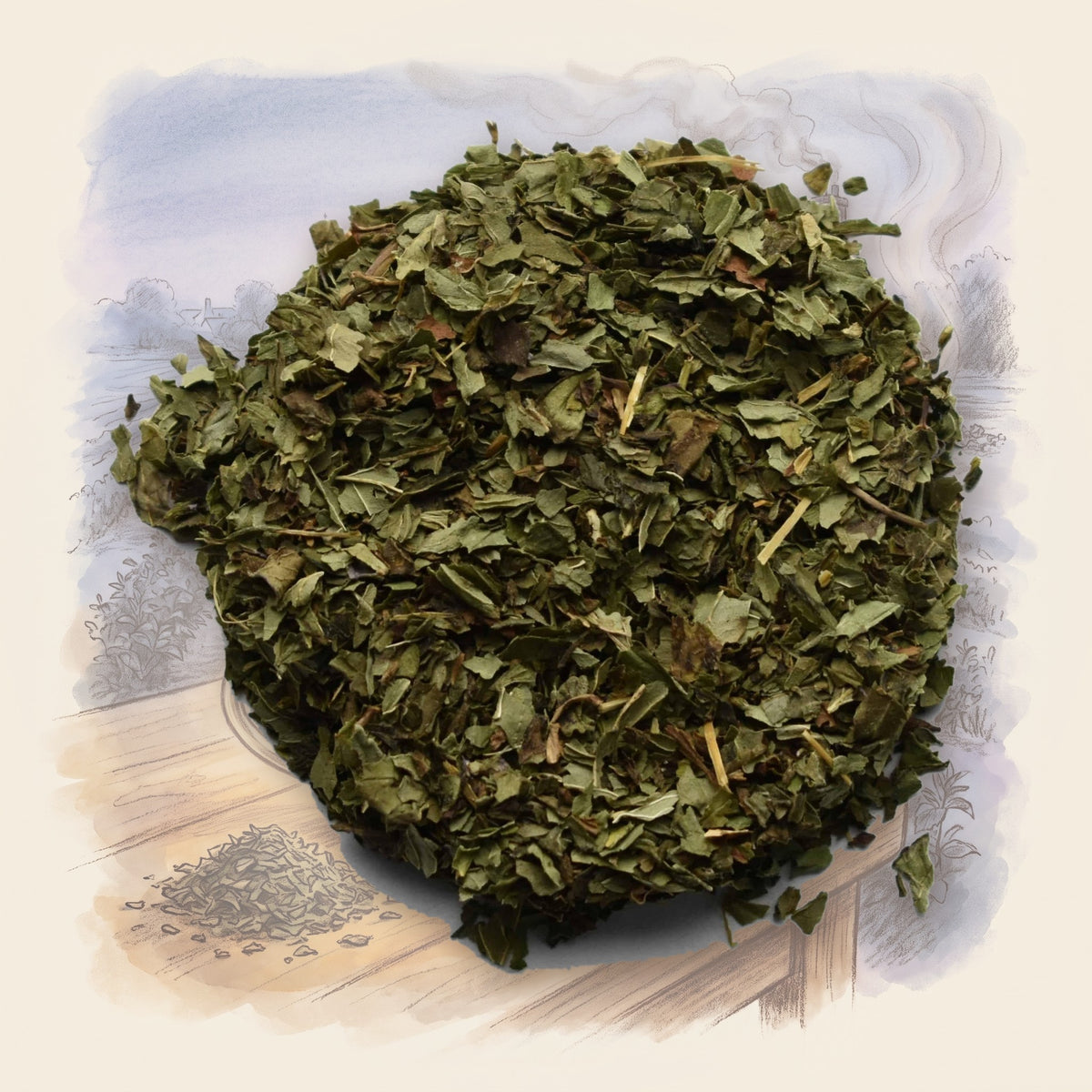 Peppermint, Organic loose leaf tea, shown over a chalk-and-watercolour illustration