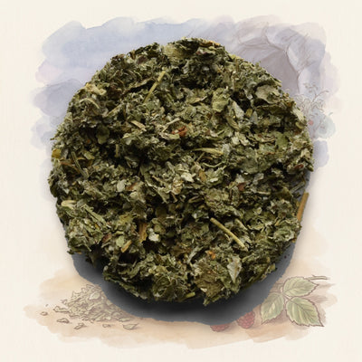 Red Raspberry Leaf, Organic