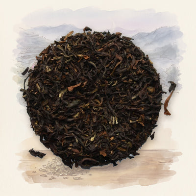 Sungma Estate, 1st Flush (Darjeeling)