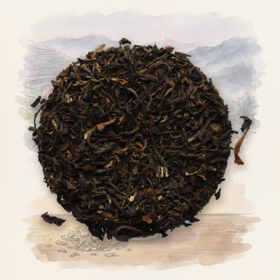 Sungma Estate, 1st Flush (Darjeeling) loose leaf tea, shown over a chalk-and-watercolour illustration