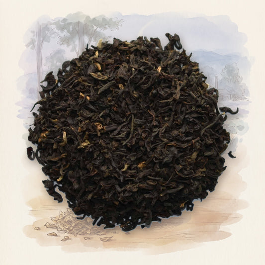 Tarajulie Estate, 2nd Flush loose leaf tea, shown over a chalk-and-watercolour illustration