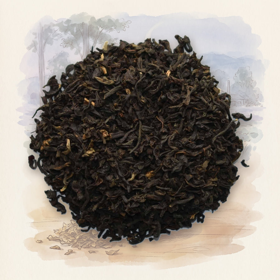 Tarajulie Estate, 2nd Flush loose leaf tea, shown over a chalk-and-watercolour illustration