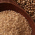 Coriander Seed - The Tea & Spice Shoppe